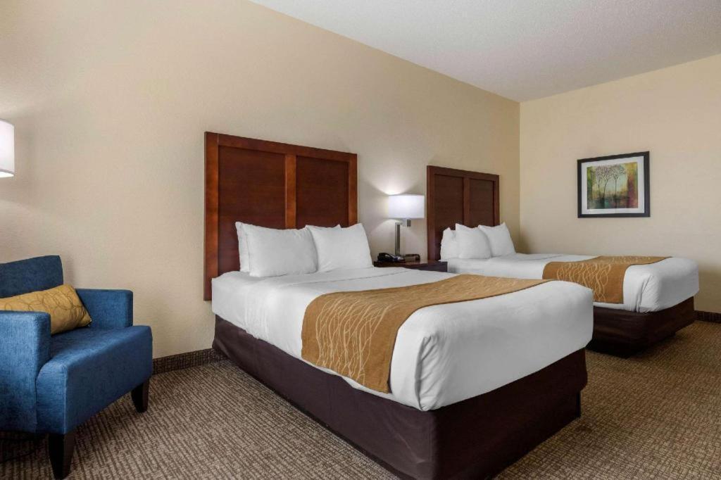 Comfort Inn & Suites Camden Exterior photo